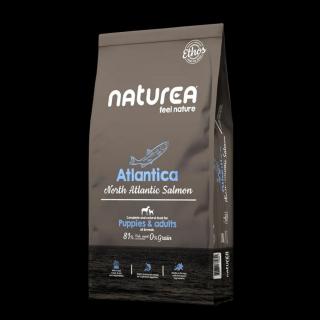 Naturea ETHOS North Atlantic Salmon - Hipoallergén Lazacos Kutyatáp kölyök és felnőtt kutyáknak 10 kg