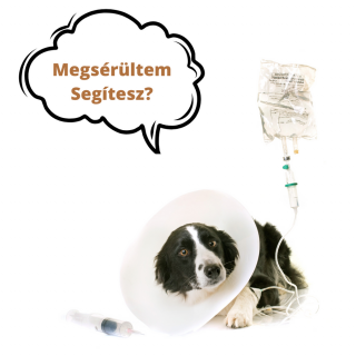 Sebgyógyulást segítő készítmény a Barcsi menhely részére - 30 ml