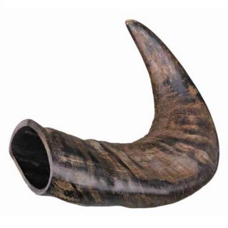 Trixie Buffalo Chewing Horn - jutalomfalat, bivaly tülök, bivaly szarv - közepes