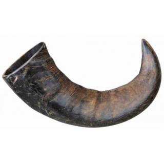 Trixie Buffalo Chewing Horn - jutalomfalat, bivaly tülök, bivaly szarv - nagy