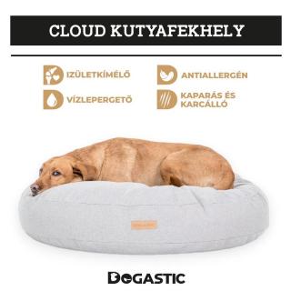 Cloud kutyafekhely