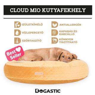 Cloud Mio kutyafekhely