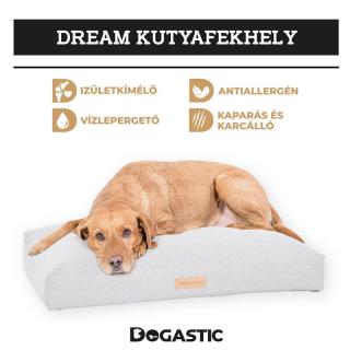 Dream kutyafekhely