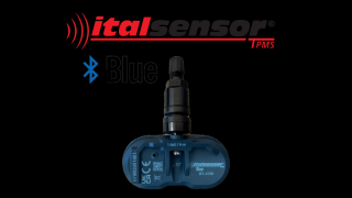 BLUE (TESLA Bluetooth)