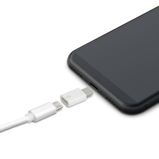 Adapter - MicroUSB – Type-C 55448C Delight