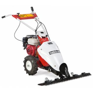 T60 alternáló kasza (B&amp;S motor)