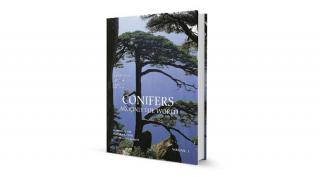 Debreczy Zsolt - Conifers around the world I.
