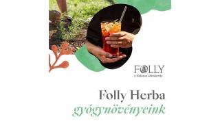 Folly Herba - Gyógynövényeink / Szörpjeink