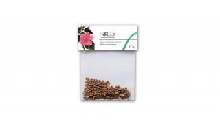Folly magok - Mocsári hibiszkusz