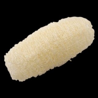 Szárított luffa (fehérített)