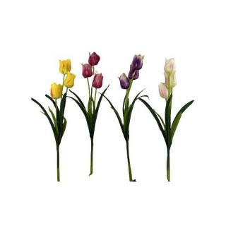 Tulipán-csokor 3 szálas színes