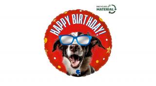 46 cm-es kutyus napszemcsiben Happy Birthday fólia lufi