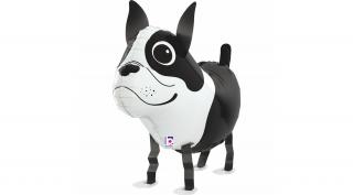 Sétáló Boston Terrier fólia lufi, 48 cm-es