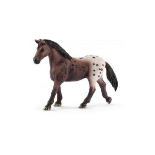 Schleich Appaloosa Kanca 13861