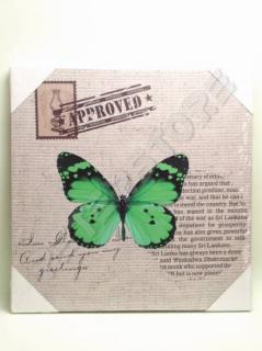 Falikép feszített keret nélküli 30x30 cm - Pillangó, Lepke Zöld