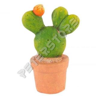 Kerámia Kaktusz