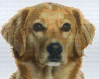 Pixelhobby képkészlet, GOLDEN RETRIEVER kutya (4 alaplapos)