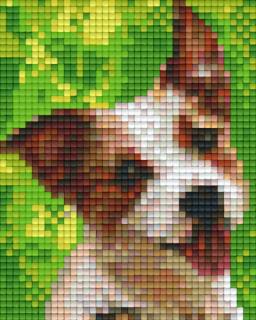 Pixelhobby képkészlet, Jack Russel kutya (1 alaplapos)