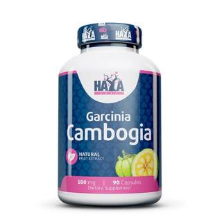 Haya Labs Garcinia Cambogia 500 mg - 90 Capsules