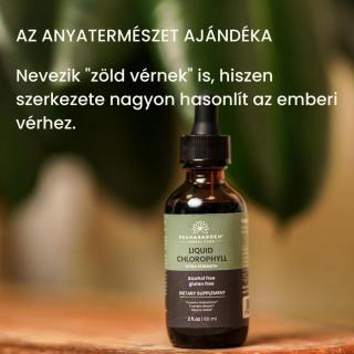 Pranagarden Folyékony klorofil 60 ml – Folyékony energia és májméregtelenítő, fogyás elősegítő, immunrendszer támogató, bőrproblémák, rossz lehelet, testszag ellen - ELŐRENDELHETŐ!