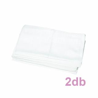 BabyBruin Textilpelenka Cseh fehér 70 * 70 cm (2 db/cs)