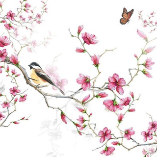 Bird   Blossom white papírszalvéta 33x33cm, 20db-os