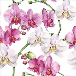 Elegant orchids white papírszalvéta 33x33cm, 20db-os
