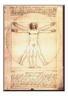 FRI.18310 Hűtőmágnes 8x5,4x0,3cm, Leonardo Da Vinci. Vitruvius tanulmány