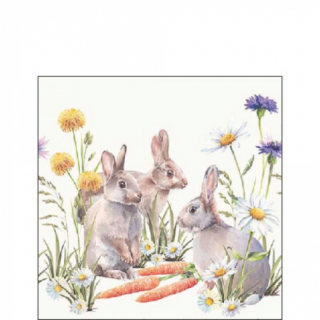 Húsvéti szalvéta 25x25cm, 20db-os Carrot treat