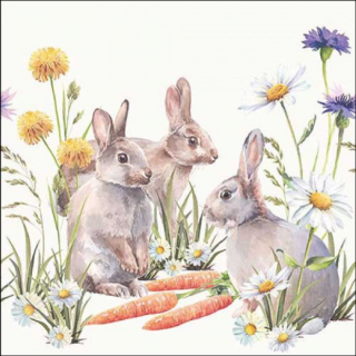 Húsvéti szalvéta - 33x33cm, 20db-os - Carrot treat