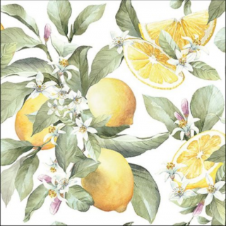 Limoni papírszalvéta 33x33cm,20db-os