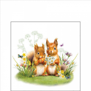 Little squirrels papírszalvéta 25x25cm, 20db-os