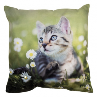 Textil párnahuzat 45x45cm cica margarétával