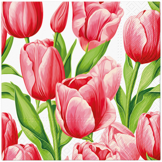 Tulipánok papírszalvéta 33x33cm, 20 db-os Tulip Time