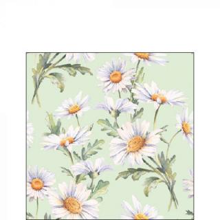 Beautiful daisies green papírszalvéta 25x25cm, 20db-os