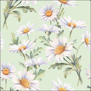 Beautiful daisies green papírszalvéta 33x33cm, 20db-os