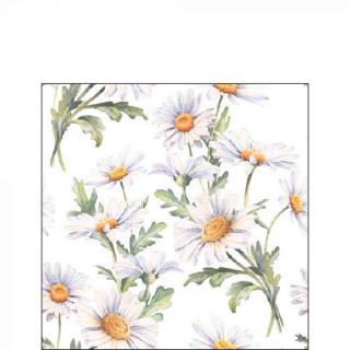 Beautiful daisies white papírszalvéta 25x25cm, 20db-os