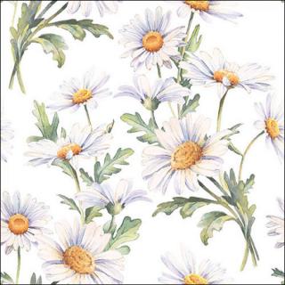 Beautiful daisies white papírszalvéta 33x33cm, 20db-os