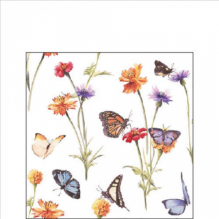Butterfly garden papírszalvéta 25x25cm, 20db-os