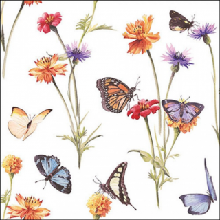 Butterfly garden papírszalvéta 33x33cm, 20db-os