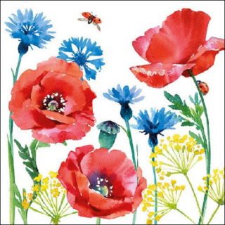 Cornflower and Poppy papírszalvéta 33x33cm, 20db-os