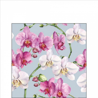 Elegant orchids blue papírszalvéta 25x25cm, 20db-os