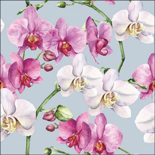 Elegant orchids blue papírszalvéta 33x33cm, 20db-os
