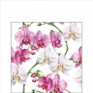 Elegant orchids white papírszalvéta 25x25cm, 20db-os