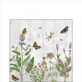 Herb Garden papírszalvéta 25x25cm, 20db-os