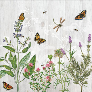 Herb Garden papírszalvéta 33x33cm, 20db-os