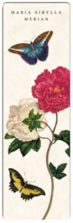 Könyvjelző 5x16cm, Maria Sibylla merian: Rose, white and pink