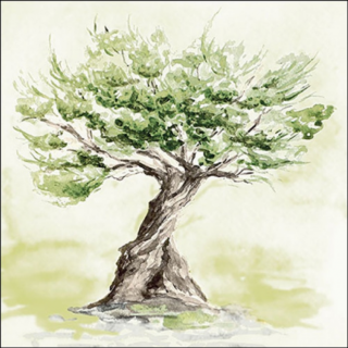 Olive tree papírszalvéta 33x33cm, 20db-os