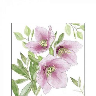 Papírszalvéta 25x25cm, 20db-os - Classic helleborus