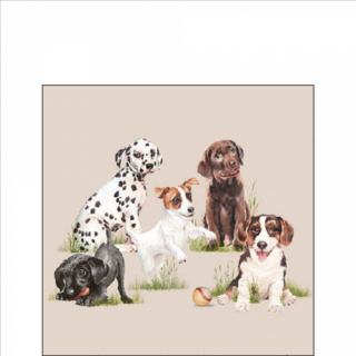 Playing puppies papírszalvéta 25x25cm, 20db-os